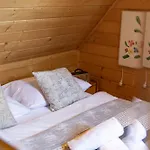 Basniowy Шале Косцелиско