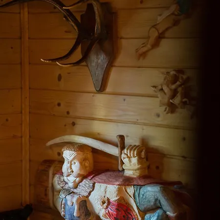 Шале Basniowy Косцелиско