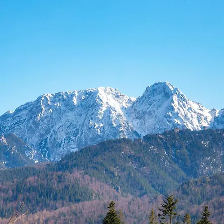 Basniowy كوشتيليسكا