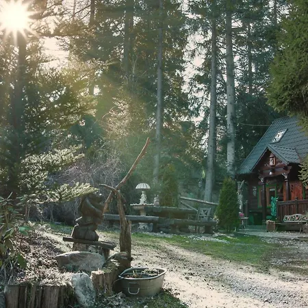 Basniowy Шале Косцелиско