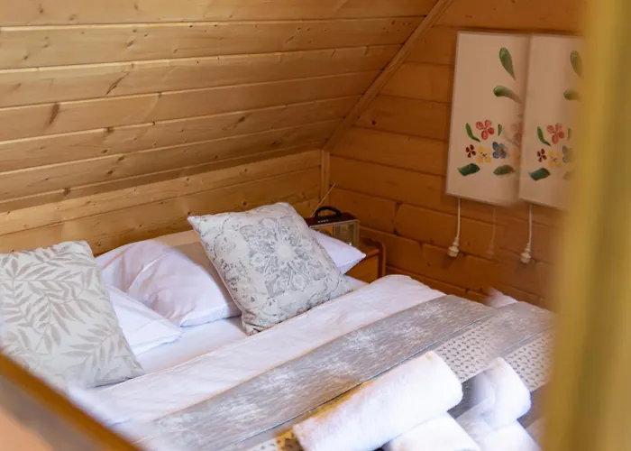 Basniowy Alpehytte Kościelisko