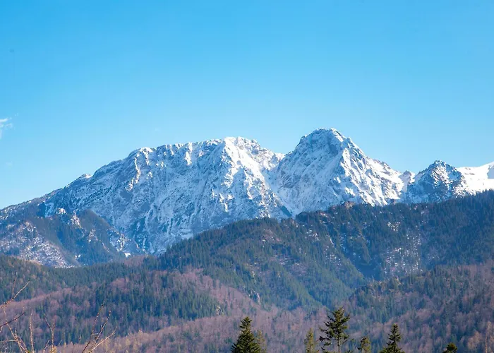 Basniowy Kościelisko