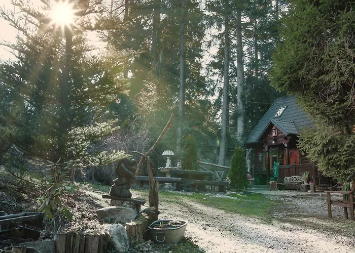 Basniowy Alpehytte Kościelisko